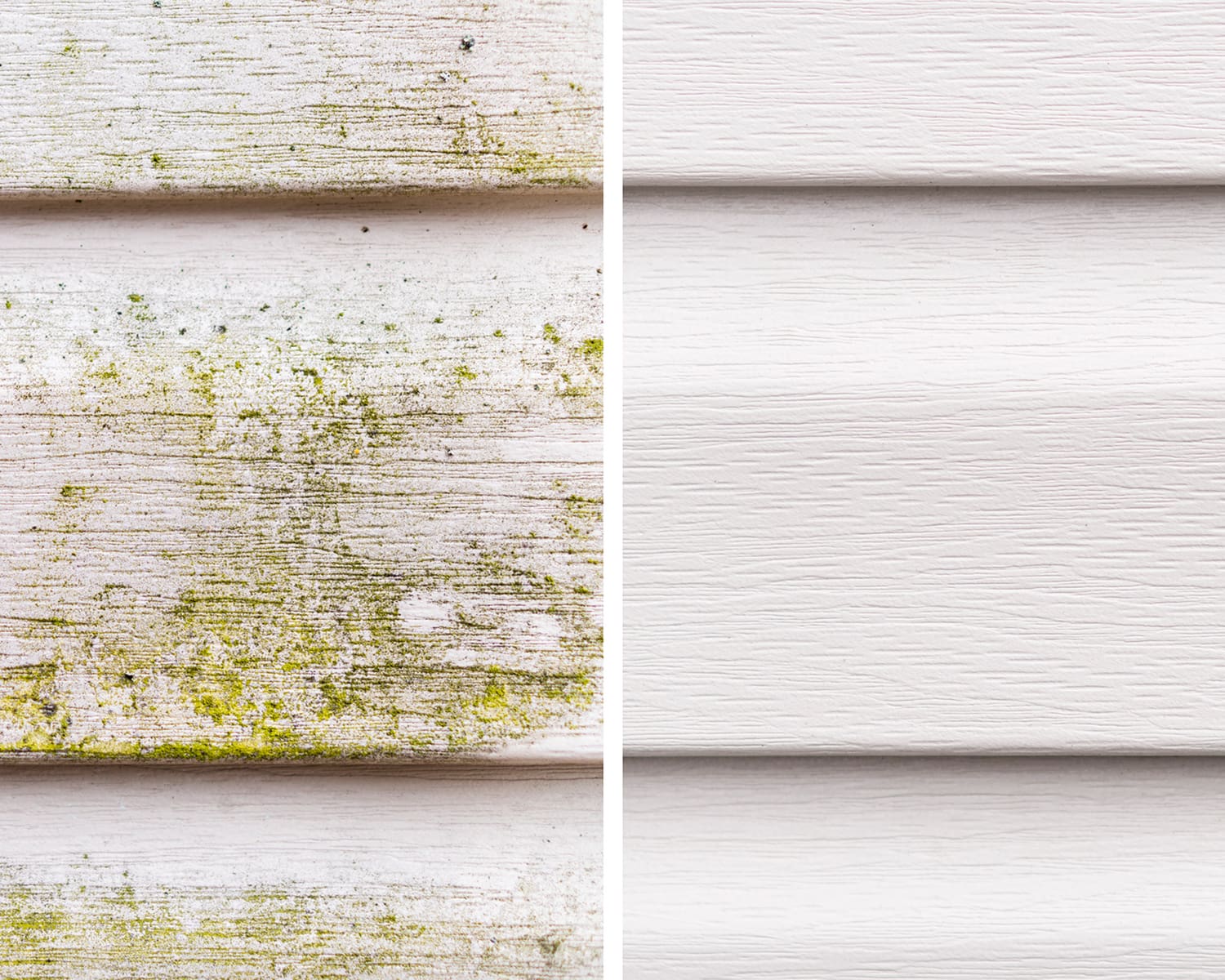 Moldy versus clean white siding